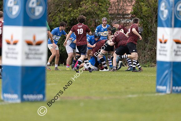 BSRFC v Royston