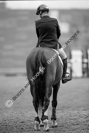 Science Supplements All England Jumping Championships