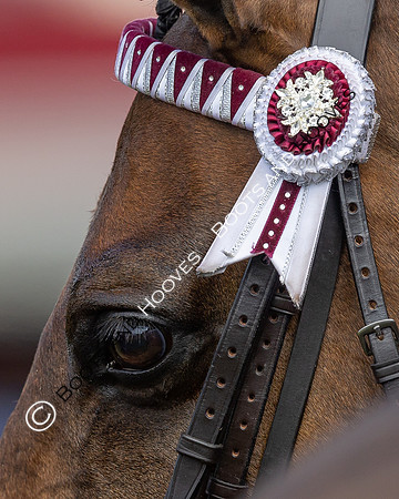 Royal Windsor Horse Show
