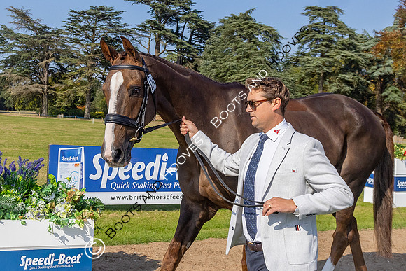 Blenheim Palace International Horse Trials