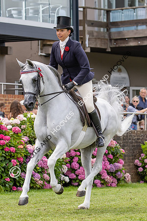 The Agria Royal International Horse Show