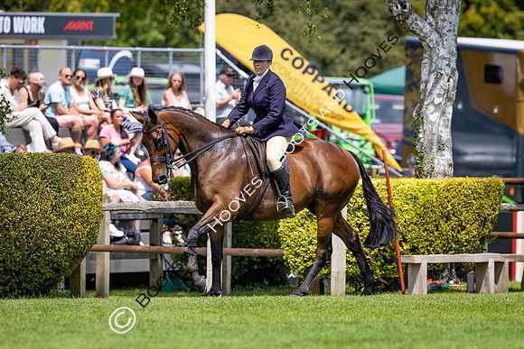 The Al Shira'aa Hickstead Derby Meeting