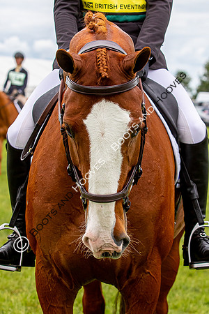 Horse Trials