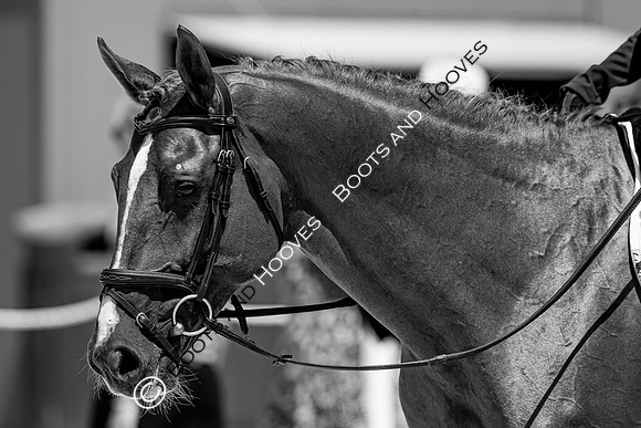 FEI Junior European Championship Young Riders, Juniors & Childre