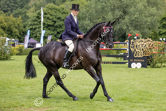 The Agria Royal International Horse Show