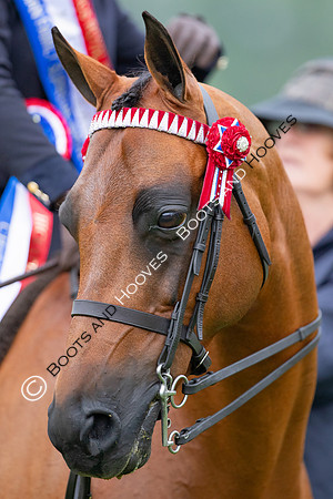 The Prenetics Royal International Horse Show