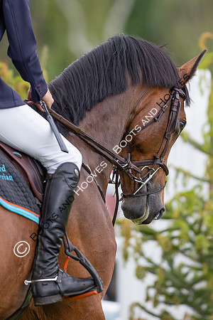 The Al Shira'aa Hickstead Derby Meeting