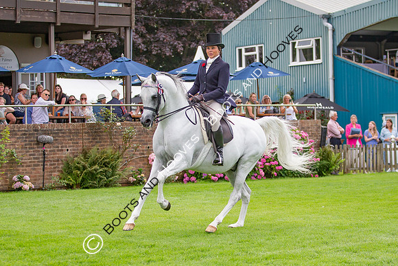 The AGRIA Royal International Horse Show