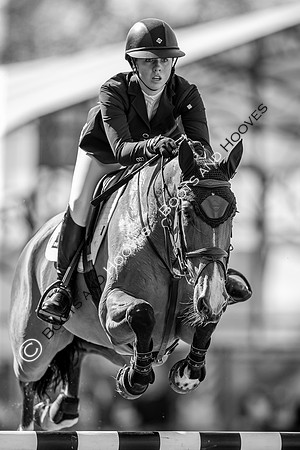 Royal Windsor Horse Show