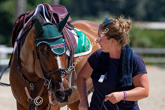 FEI Junior European Championship Young Riders, Juniors & Childre
