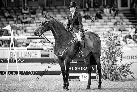 The Agria Royal International Horse Show