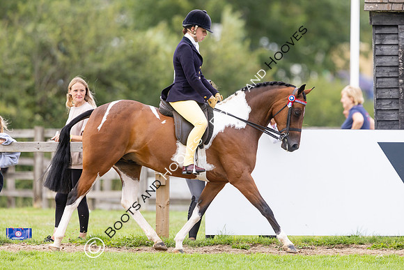 The Royal International Horse Show