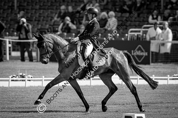 Badminton Horse Trials
