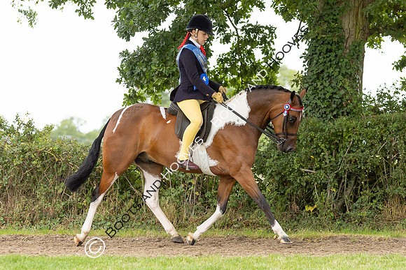 The Royal International Horse Show