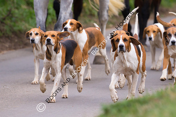Hunting