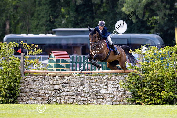 The Al Shira'aa Hickstead Derby Meeting