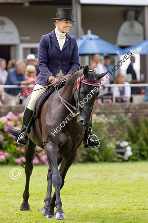 The Agria Royal International Horse Show