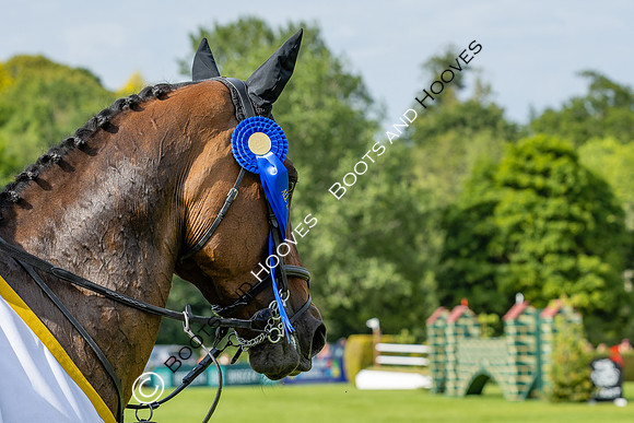 The Al Shira'aa Hickstead Derby Meeting