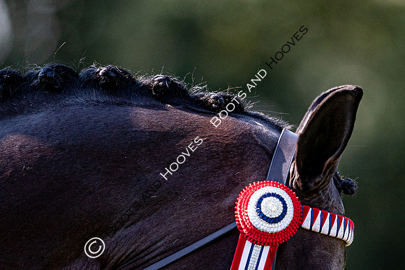 The Prenetics Royal International Horse Show