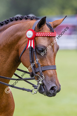 The Agria Royal International Horse Show
