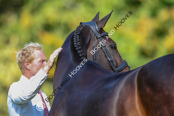 Blenheim Palace International Horse Trials