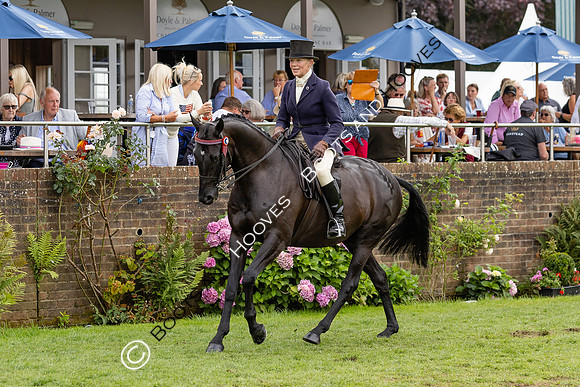 The Agria Royal International Horse Show