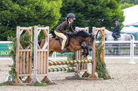 Royal Windsor Horse Show