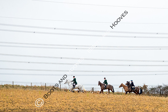 Hunting