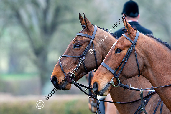 The Ledbury Hunt