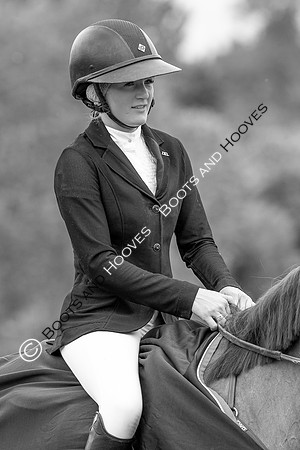Showjumping
