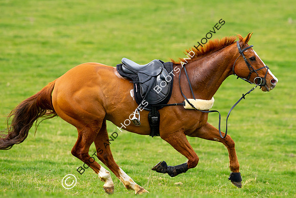 Hunt Ride