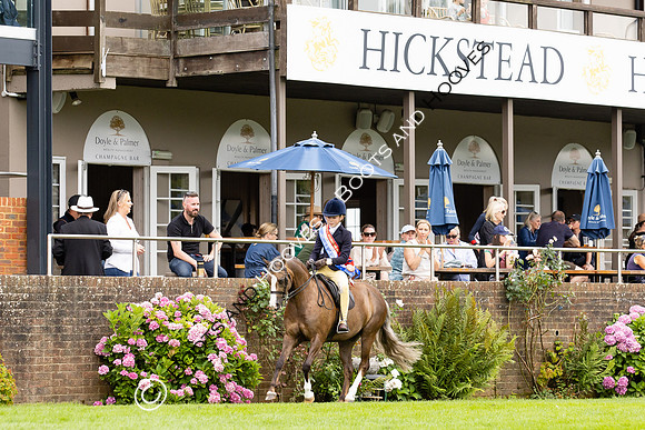 The Agria Royal International Horse Show