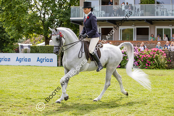 The Agria Royal International Horse Show