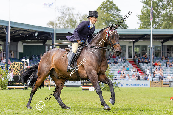 The Agria Royal International Horse Show