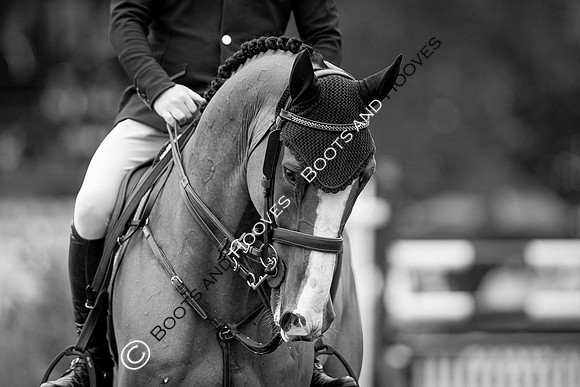 The Prenetics Royal International Horse Show