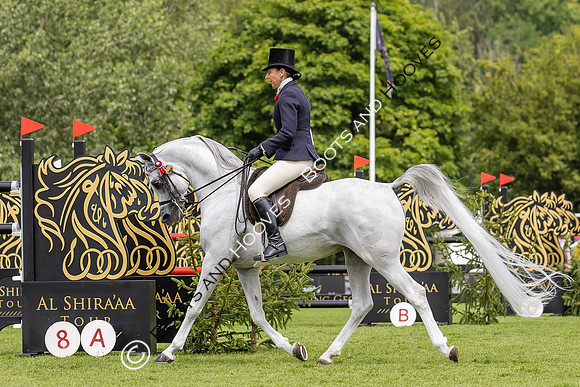 The Agria Royal International Horse Show