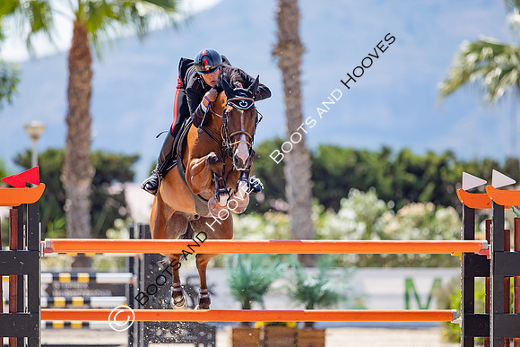 FEI Junior European Championship Young Riders, Juniors & Childre