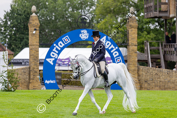 The Agria Royal International Horse Show