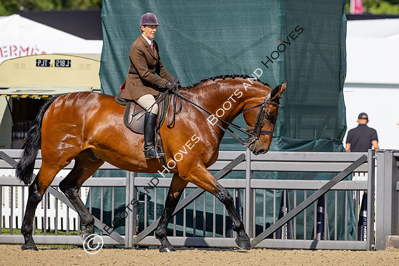 Royal Windsor Horse Show
