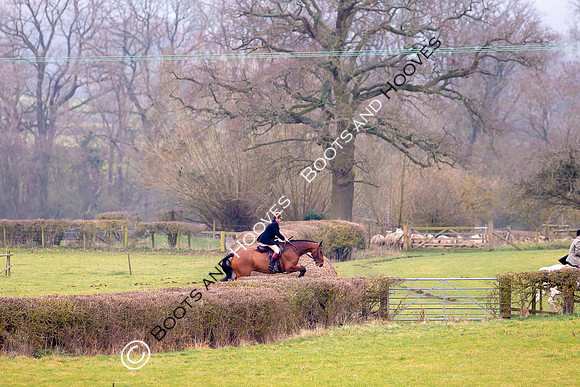 The Ledbury Hunt