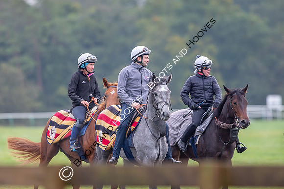 Newmarket