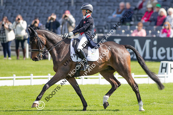 Badminton Horse Trials