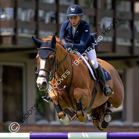 Showjumping