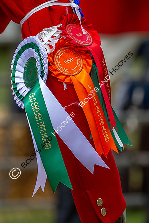 Festival of Hunting
