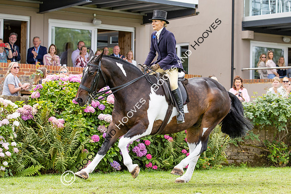 The Agria Royal International Horse Show