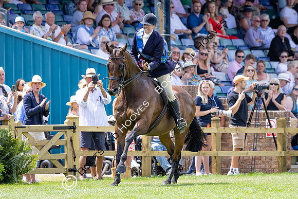 The Al Shira'aa Hickstead Derby Meeting