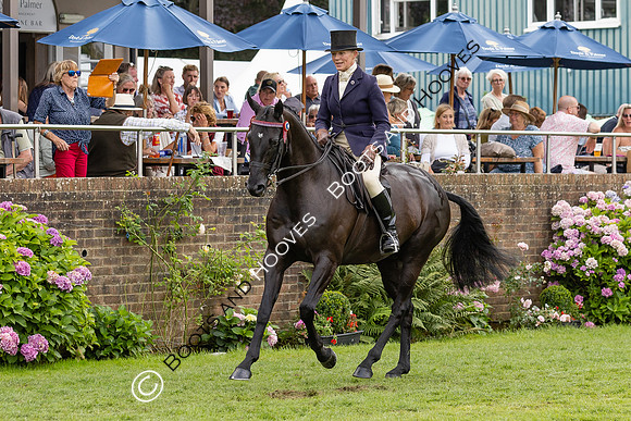 The Agria Royal International Horse Show