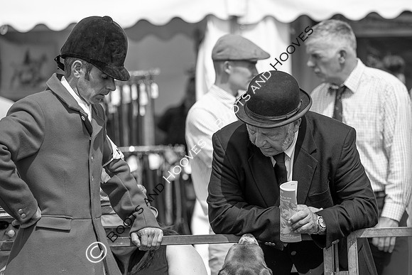 Festival of Hunting