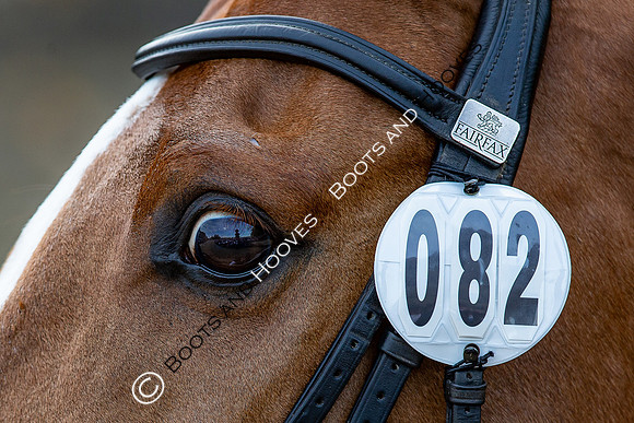 Badminton Horse Trials
