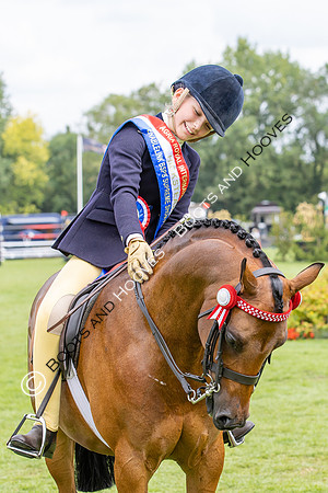 The Agria Royal International Horse Show